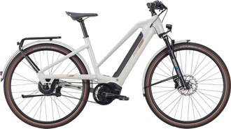 IBEX eAvantgarde Neo GOR enviolo