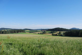 Die schönste Landschaft, soweit das Auge reicht.....