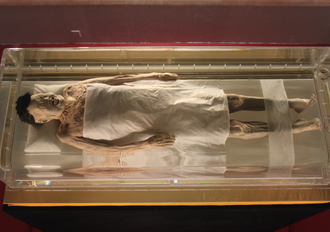 Lady Dai im Hunan Museum, China (Bildquelle: worldhistory.org)