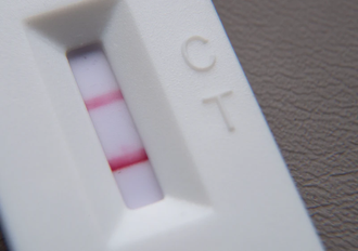 Die Studie wirft Zweifel an der bisherigen Annahme auf dass SARS-CoV-2-Infektionen im Allgemeinen von vorübergehender Natur sind.