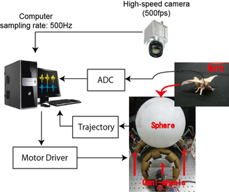 図2: 3自由度サーボスフィア概要図