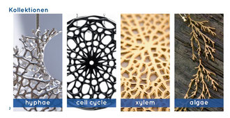 Kollektionen: hyphae - cell cycle - xylem - algae