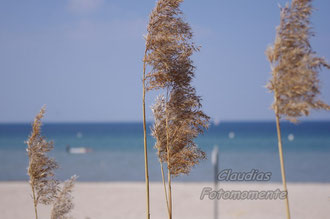 An der Ostsee