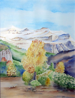 Pyrénées aquarelle arbre automne