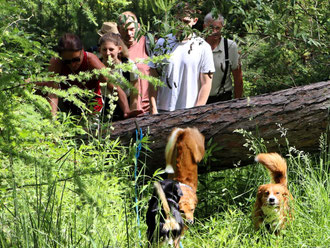 dschungelerfahrung-hundetreffen-zuechter