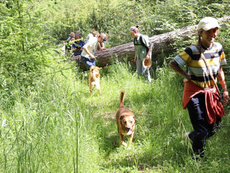 dschunglerfahrung-oepi-pinschertreffen