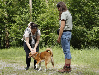 hundewandertag-oepi-pinscher-zuechter-wimmerfarm