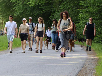 hundetreffen-kurzhaarpinscher-zuechterbesuchen