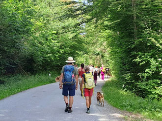 treffen-wandern-oepi-kurzhaarpinscher-wandtertag-greithgraben-eggersdorf-steiermark