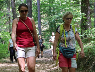 wald-freigang-brave-hunde-oepi-menschenbezug