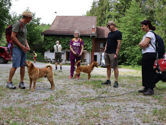 wandergruppe-greithgraben-steiermark