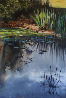 Cette petite mare sera bientôt à sec, 56x38cm