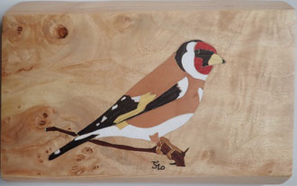 Chardonneret élégant - marqueterie - Atelier Eclats de Bois - 38 isère