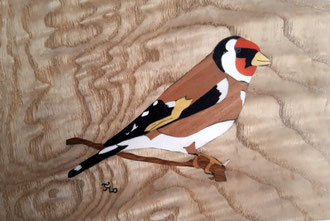 Chardonneret élégant  - marqueterie - Atelier Eclats de Bois - 38 isère
