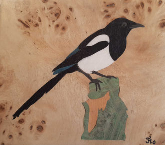 Pie bavarde  - marqueterie - Atelier Eclats de Bois - 38 isère