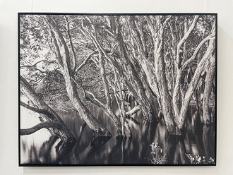 'Lake Ainsworth' 120 x 80cm Canvas with black floating frame SOLD