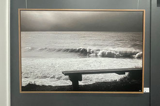 'Salty Dogs' 135 x 90cm Canvas with spotted gum frame $1200
