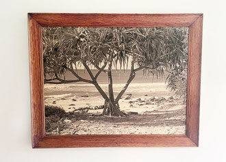 ‘Pandanus’ 84 x 66cm Birchwood photo with antique Silky Oak frame SOLD