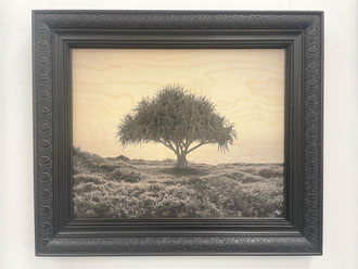'Pandanus' 80 x 50cm Timber print with antique frame SOLD