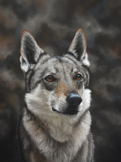 Fenris Wolfhund 2020
