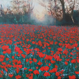 FIELD OF FLOWERING POPPIES, 50x50 cm, Acryl/Leinen