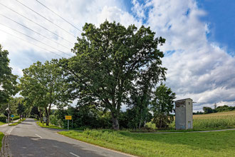 Fraunhofeneiche bei Neufraunhofen