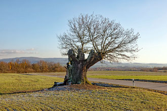 Hüter des Feldes bei Nedensdorf