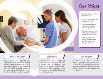 Logo & Trifold Brochure Design - Inside Spreawd Shown Here