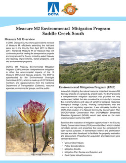 Informational Flyer Design for OCTA