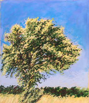 L'azerolier 1 pastel 21x23- Sylvie Berman artiste peintre