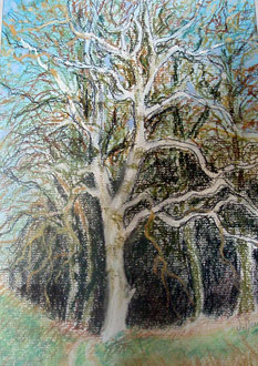 Invierno, pastel 29x39 Sylvie Berman artista pintor