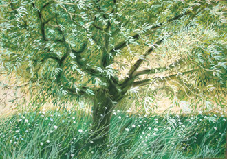 olive tree, scabiosas, hight summer, pastel 25x19 Sylvie Berman artiste peintre