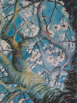 Almond tree blossoming, pastel 23x31  Sylvie Berman artiste peintre