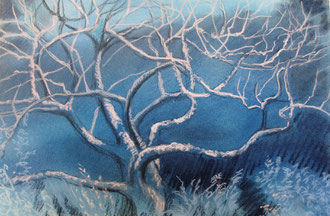 The secret tree, pastel 22x14 Sylvie Berman artiste peintre