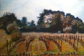 Vigne de Mars, pastel 40x26,5cm Sylvie Berman artiste peintre