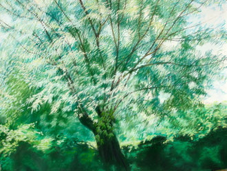 Willow of Fontvieille, pastel 25x19 Sylvie Berman artiste peintre