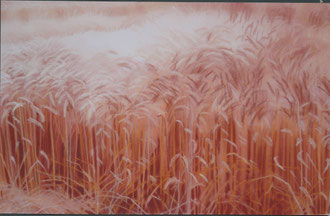 Wheat, noon, pastel 35x23 (sold) Sylvie Berman artiste peintre