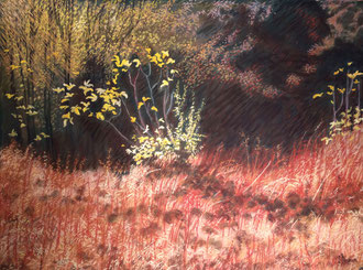 Apparition d'automne, pastel 75x60 cm Sylvie Berman artiste peintre