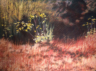 Apparition d'automne, pastel 75x60 cm Sylvie Berman artiste peintre