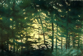 Grande forêt, pastel 70x50 cm  Sylvie Berman artiste peintre 