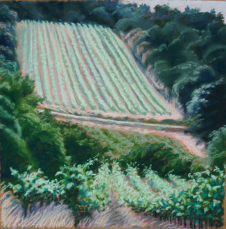 Aube de Mai, pastel 26x26 cm,5 Sylvie Berman artiste peintre