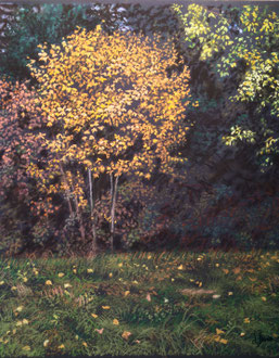 Apparition d'Automne 2 pastel 37x44cm- Sylvie Berman artiste peintre