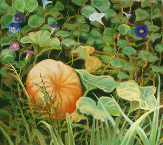 Pumpkin, volubilis(2), pastel 19x17 Sylvie Berman artiste peintre