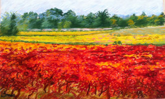 Auriac, vigne en automne, pastel, Sylvie Berman artiste peintre ( collection particulière)