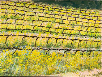 Vigne et moutarde pastel 37x27cm Sylvie Berman atiste peintre