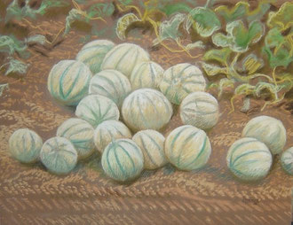  Melons de la Martelière , pastel 50x 65cm         Sylvie Berman artiste peintre 