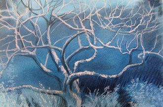 L'arbre secret, pastel 55x38 - Sylvie Berman Artiste peintre