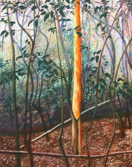 L'arbre doré,  Pastel 40x50 cm  Sylvie Berman artiste peintre