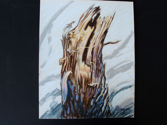 Après la tempête,(2) pastel 29x39- Sylvie Berman Artiste peintre 