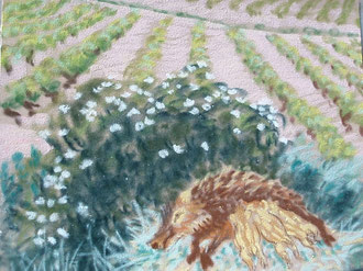 Where the boars sleep, pastel  Sylvie Berman artiste peintre